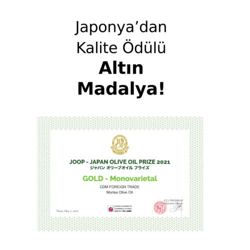 joop_certificate_kare