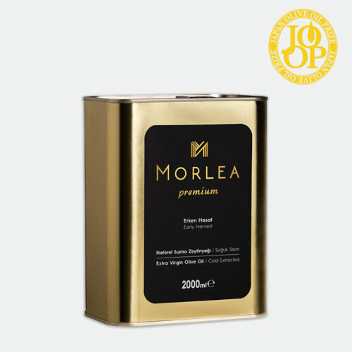 2 lt teneke (669x669)